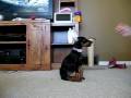 videos de 001