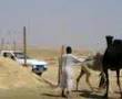 سوداني قوي سوداني قوي