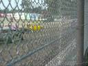 08 derby movie.wmv