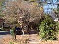 Boulevard Historic District Boulevard Historic District