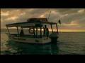 Skye - Love Show