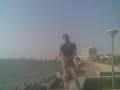 basha007