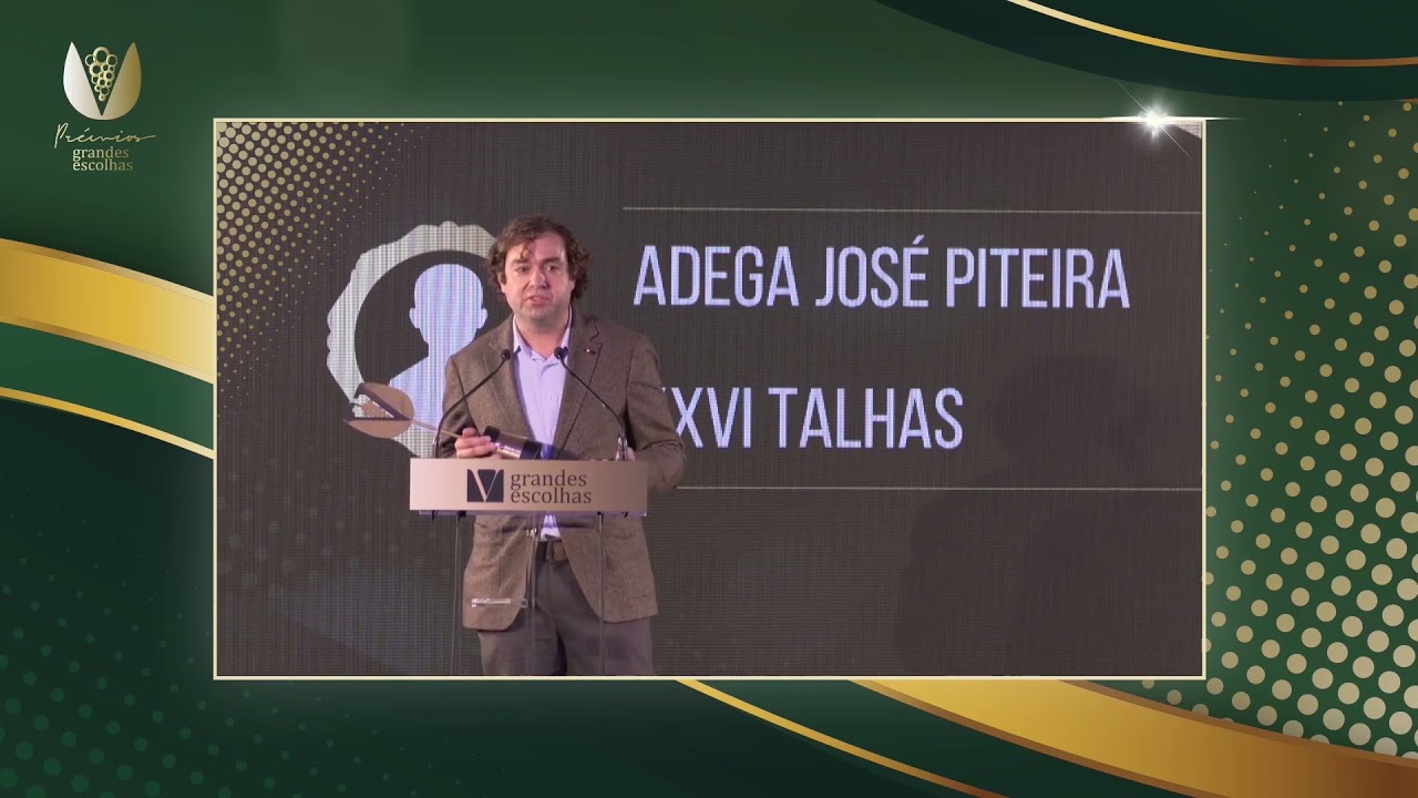 SINGULARIDADE 2020