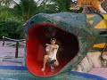 video da toic caruaru video da toic caruaru