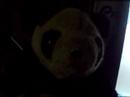 mr. panda on drugs