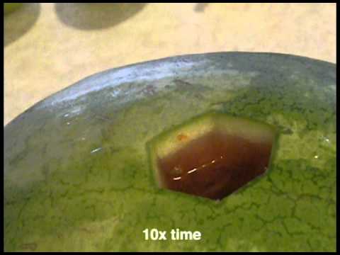 how to drain vodka into a watermelon