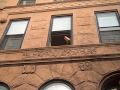 Throwing the Christmas Tree Out the Window