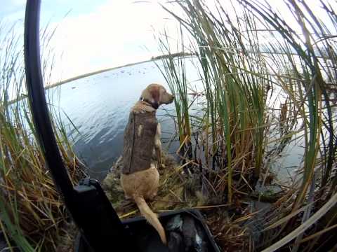 See video