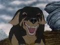 Plague Dogs - The Plagues