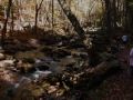Cascade Falls
