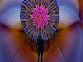 DynaFleur art installation - Second Life