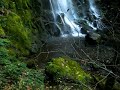 Camp Benson Falls