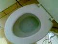 videos de Toilet Froth
