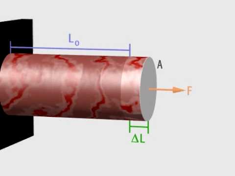 Elastic Modulus, Young's Modulus