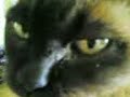 Rub \ Rub \
