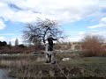 joju y sus habilidades
