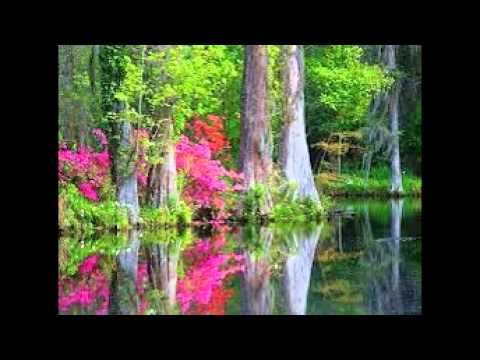 Inpatient drug rehabdrug rehab|alcohol rehab|best drug rehabilitation|drug rehab centers.