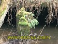 Most kolejowo-drogowy w okolicach Bobolic.wmv