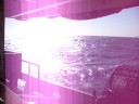 Trawling Trawling