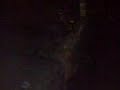 Matys & Metys - Blair Witch Project #5