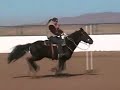 Gymkhana FUN! Quest for the Silver Belt Buckle