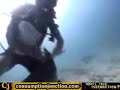 Wild life and carelessness