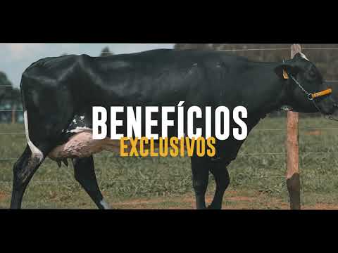 RESERVA GENÃ‰TICA FAZENDA CONGONHAS