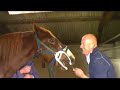 Horse Dentistry Horse Dentistry