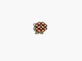 Hatching Togepi