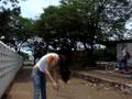 videos de Ovo na Suélen