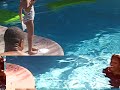 Binkie of Electrik Red gets thrown in pool! Binkie of Electrik Red gets thrown in pool!