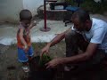 Plantando muda de bonsai .AVI