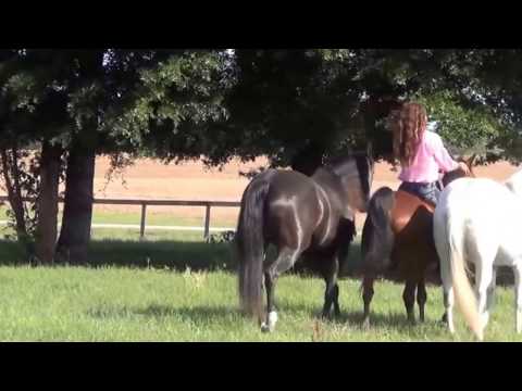 how to practice riding without a horse