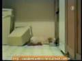 PERROS DIVERTIDOS.wmv