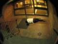 videos de Knoxy Fall