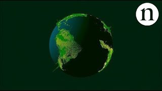 Nuevo estudio de la densidad arbórea en el mundo (sonido en inglés)