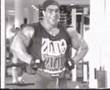 MUSCULOS