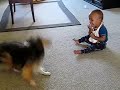 El bebé se parte del perro
