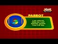 Animal Sounds in Hindi - Parrot
