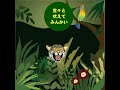 タイガーウッズ(tigerwoods)マスターズで復帰.avi