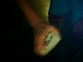 Clipshift
