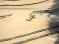 r/c car nitro race a main west coast shootout on myspace