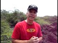 EFT and Petroglyphs