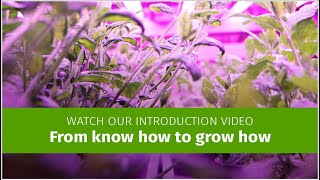 Urban Crop Solutions - introduction