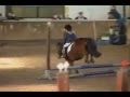 Horses - Liar