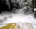 Fahrt durch den verschneiten Wald Fahrt durch den verschneiten Wald