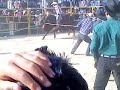 EL JARIPERO Sn. PEDRO 08