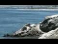 videos de pensando en ti-agua marina