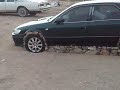 زحف المدينه