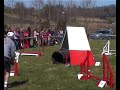 La fête du chien à Caubios-Loos